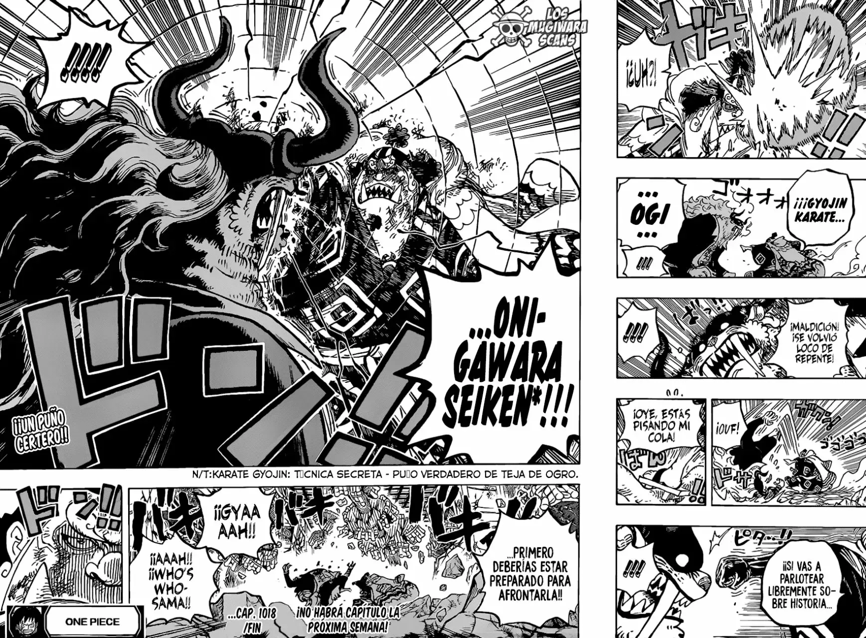 One Piece Capítulo 1018.5 - Página 17 en español