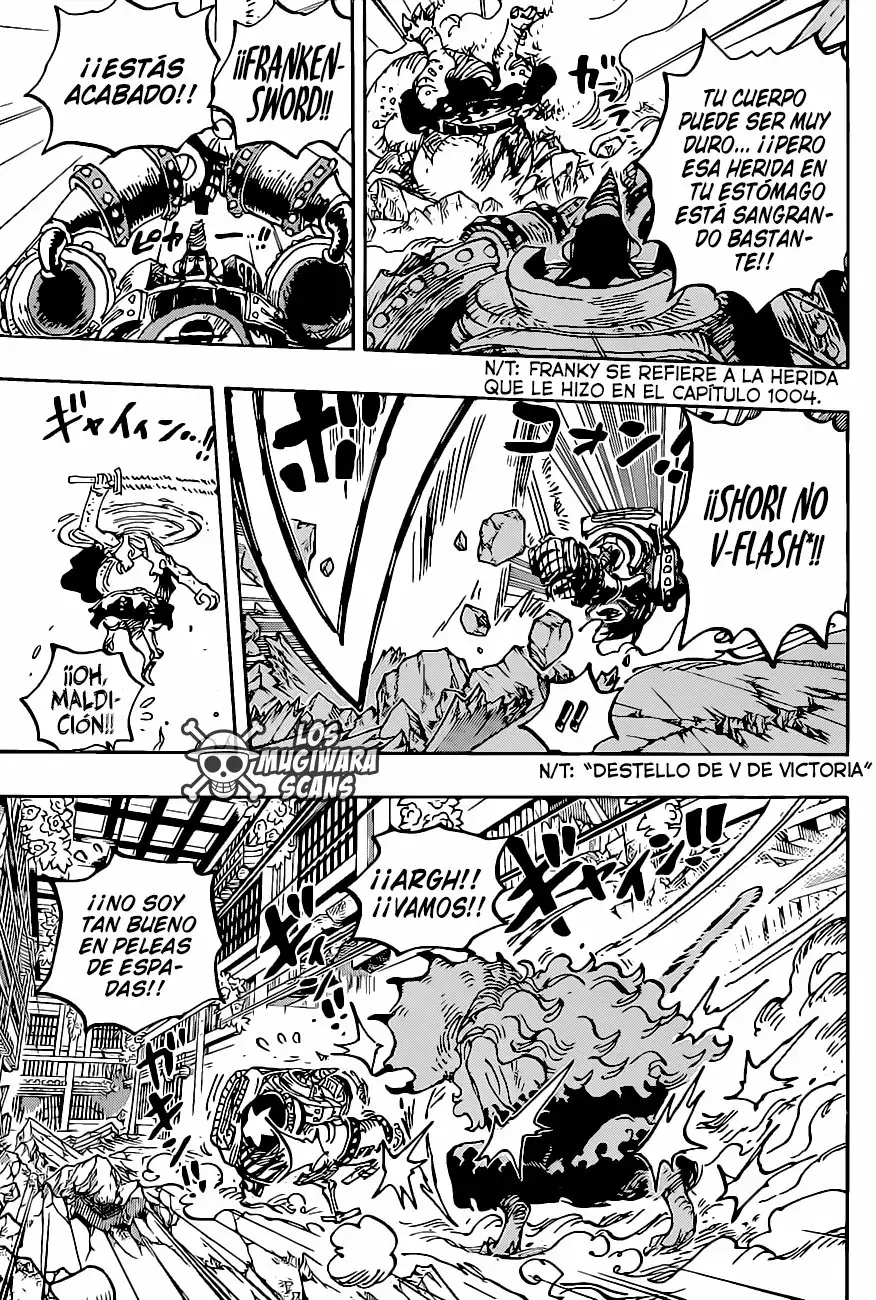 One Piece Capítulo 1019.5 - Página 14 en español