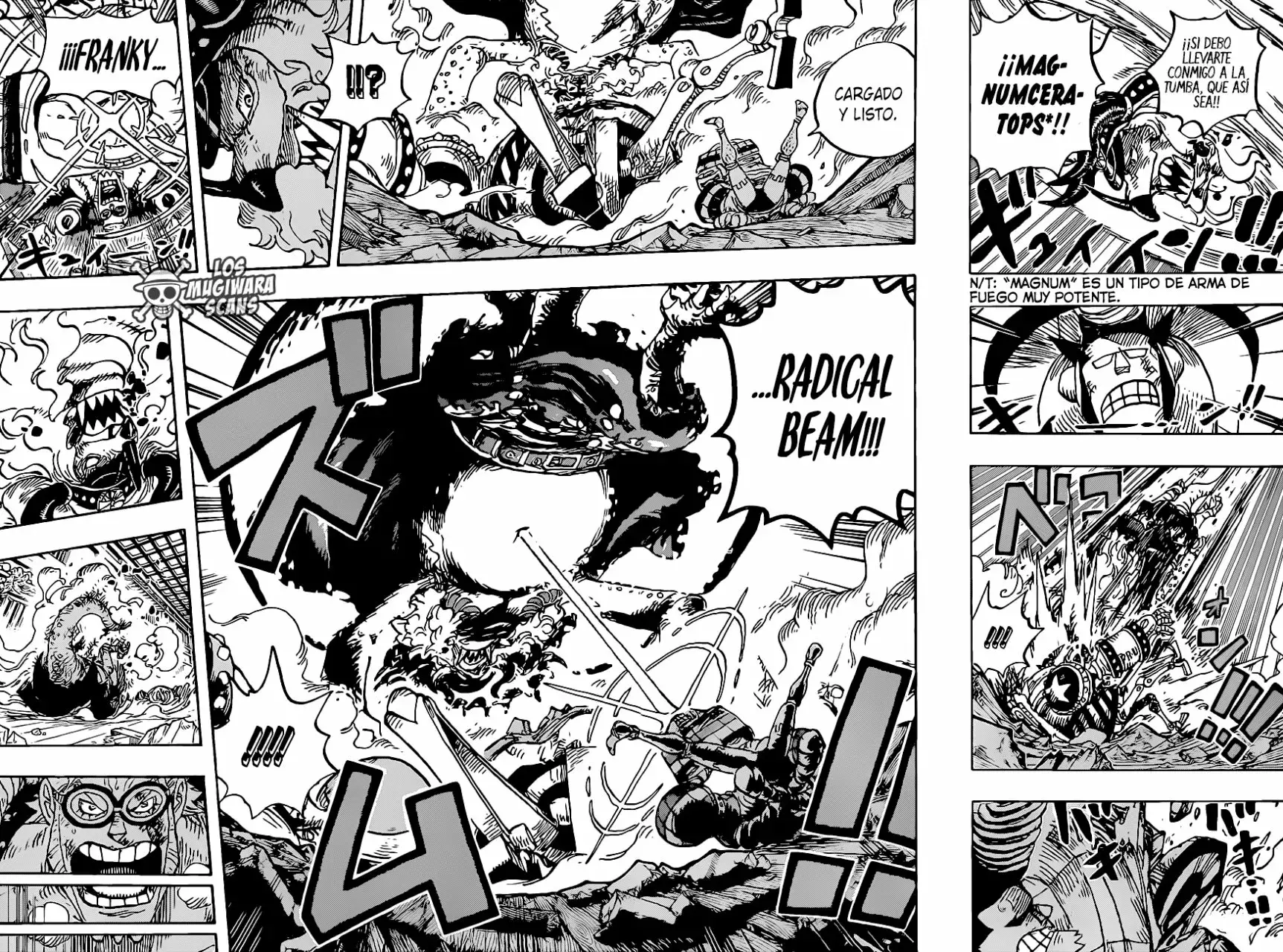 One Piece Capítulo 1019.5 - Página 17 en español