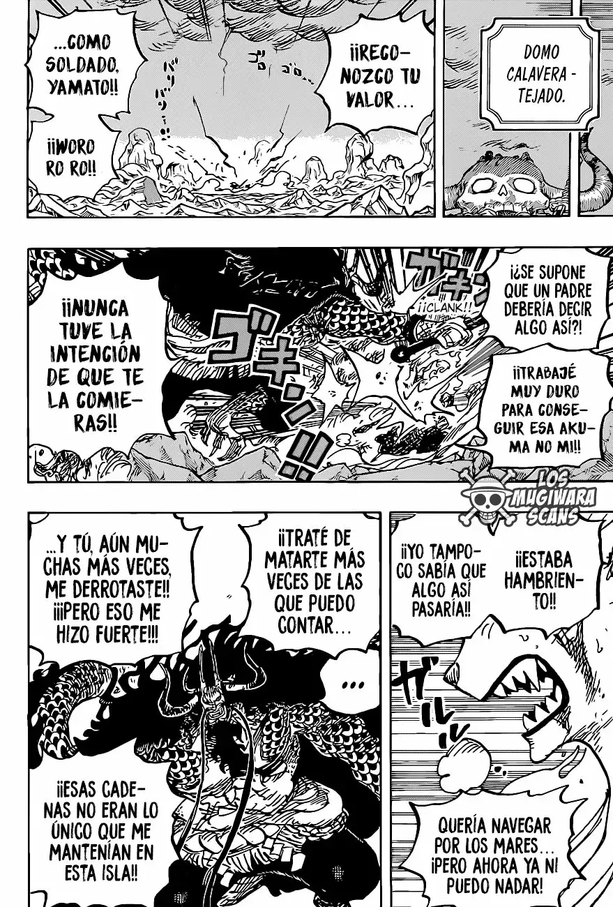 One Piece Capítulo 1019.5 - Página 18 en español