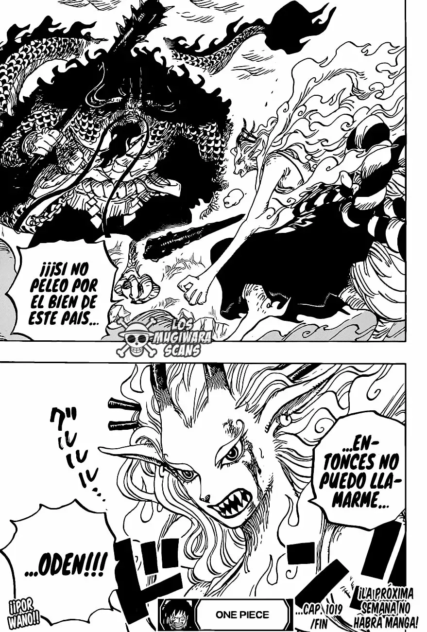 One Piece Capítulo 1019.5 - Página 19 en español