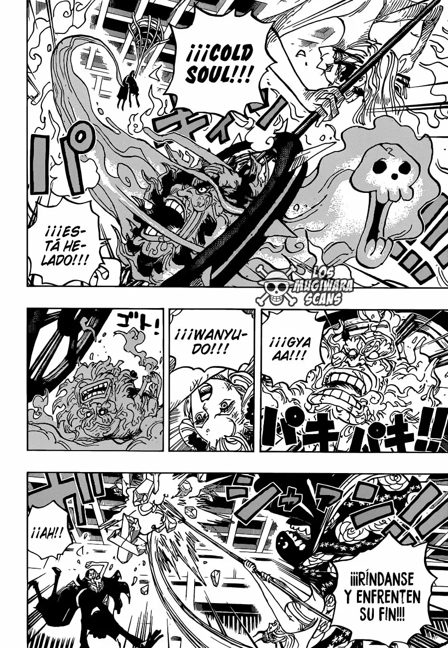 One Piece Capítulo 1020.5 - Página 13 en español