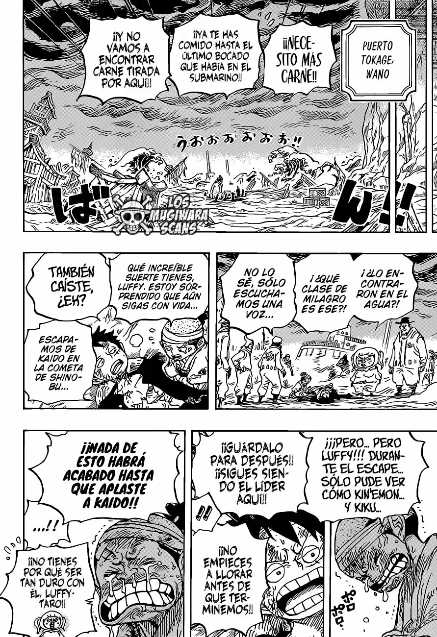 One Piece Capítulo 1020.5 - Página 17 en español