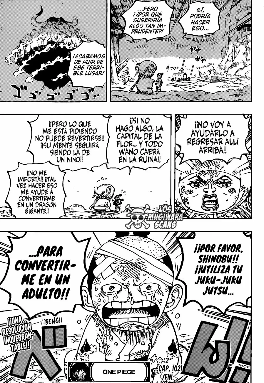 One Piece Capítulo 1021.5 - Página 17 en español