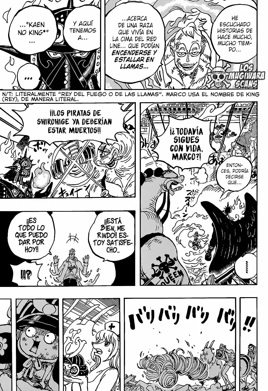 One Piece Capítulo 1022.5 - Página 15 en español