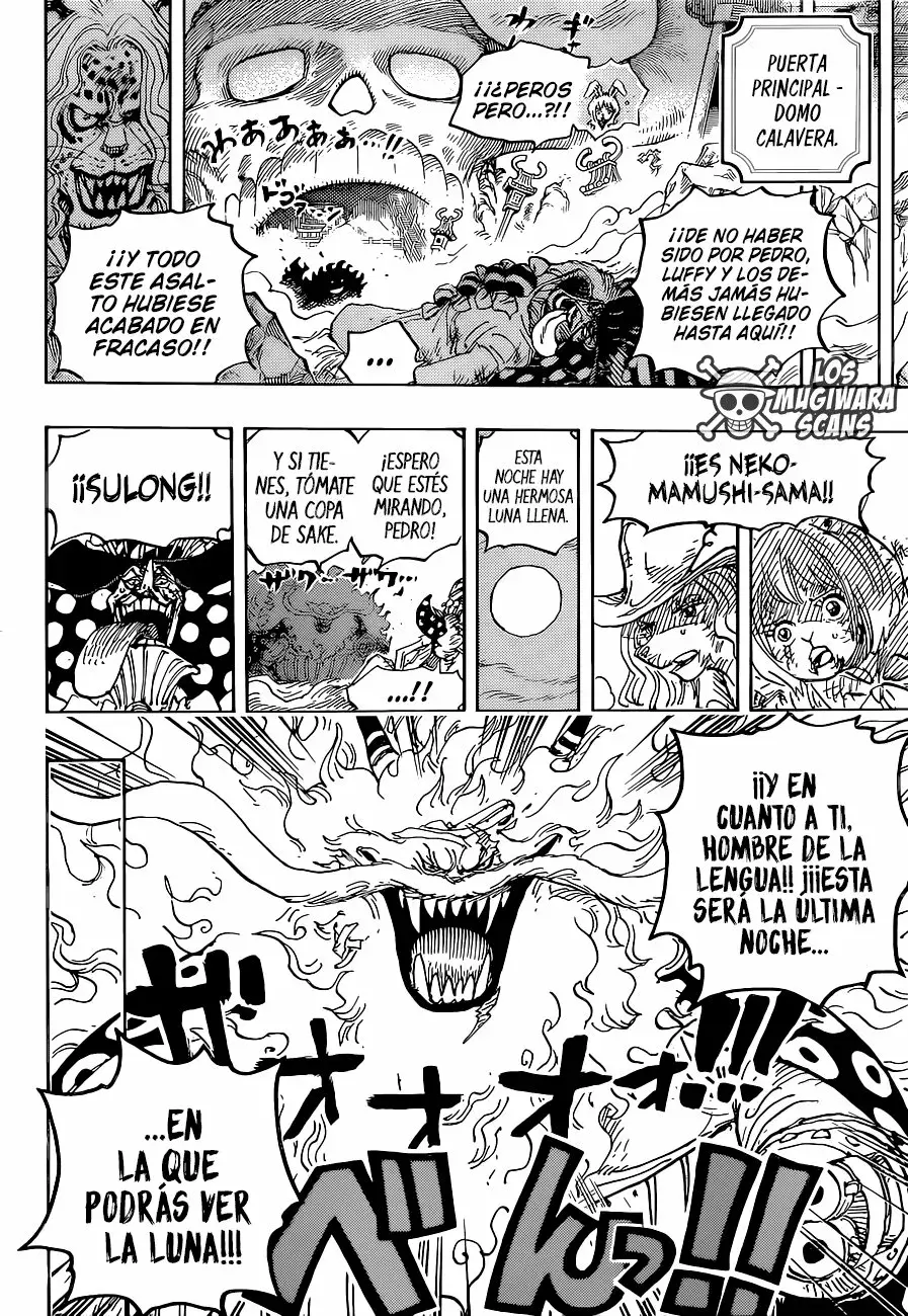 One Piece Capítulo 1023.5 - Página 16 en español