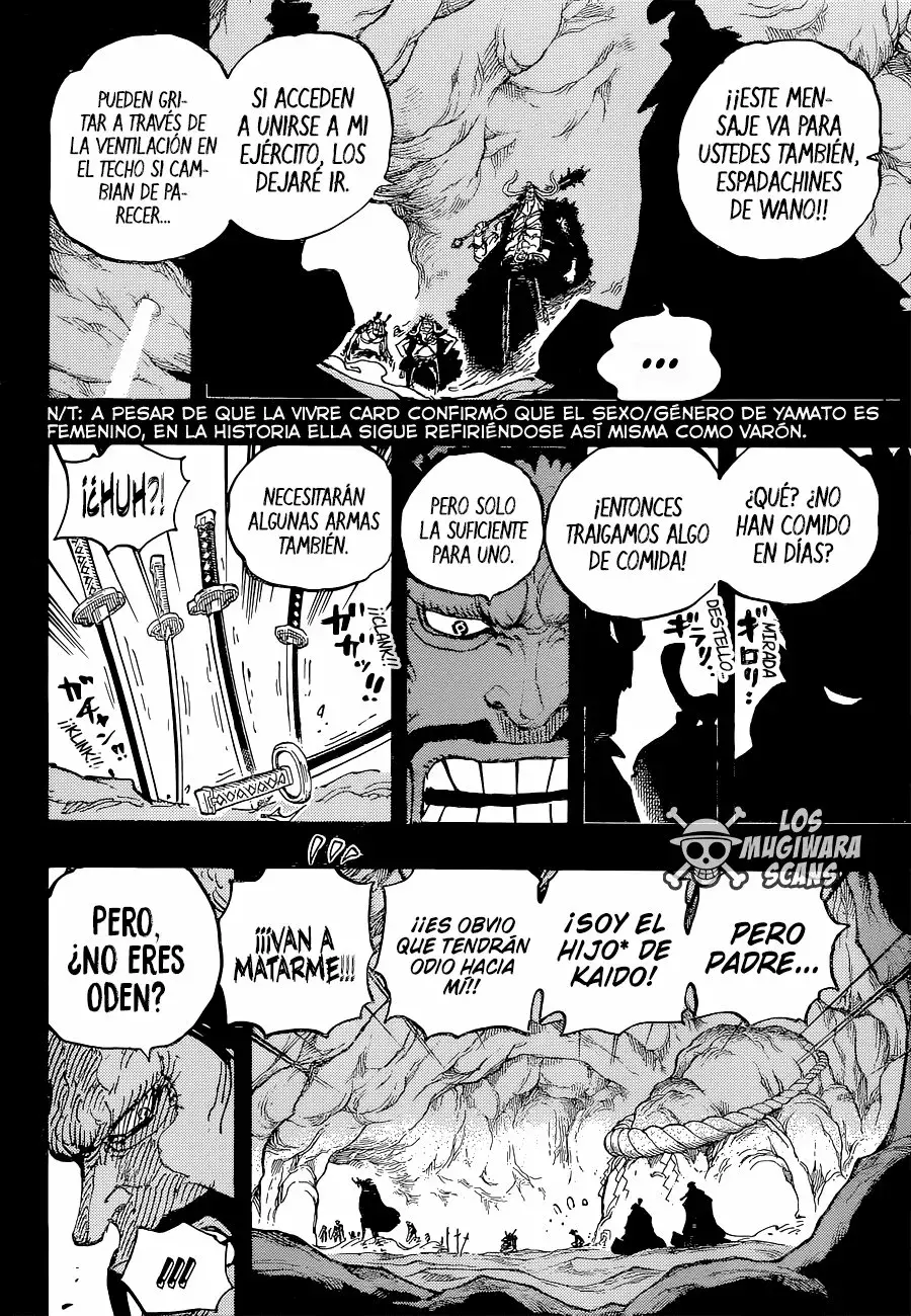 One Piece Capítulo 1024.5 - Página 13 en español