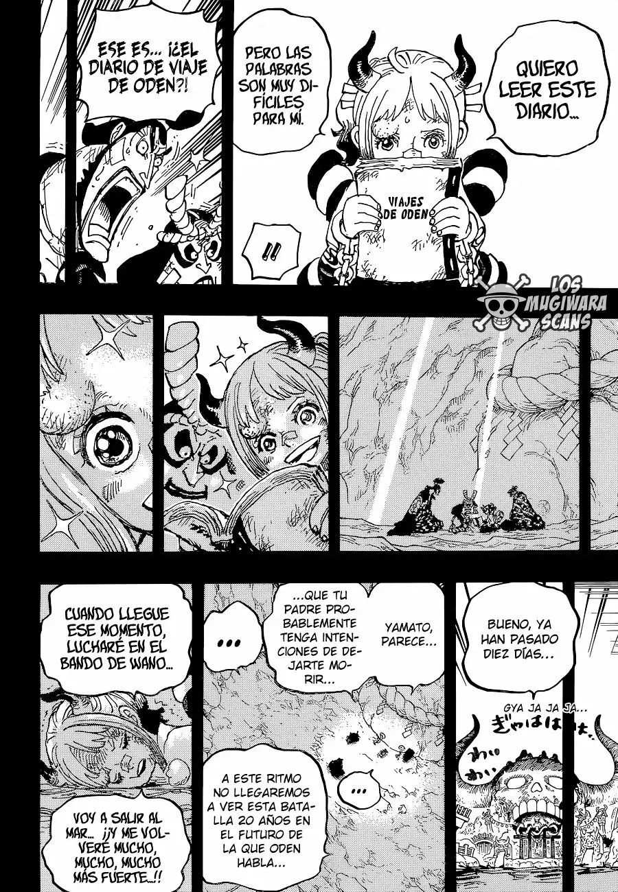 One Piece Capítulo 1024.5 - Página 17 en español