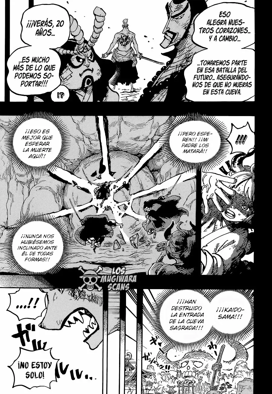One Piece Capítulo 1024.5 - Página 18 en español