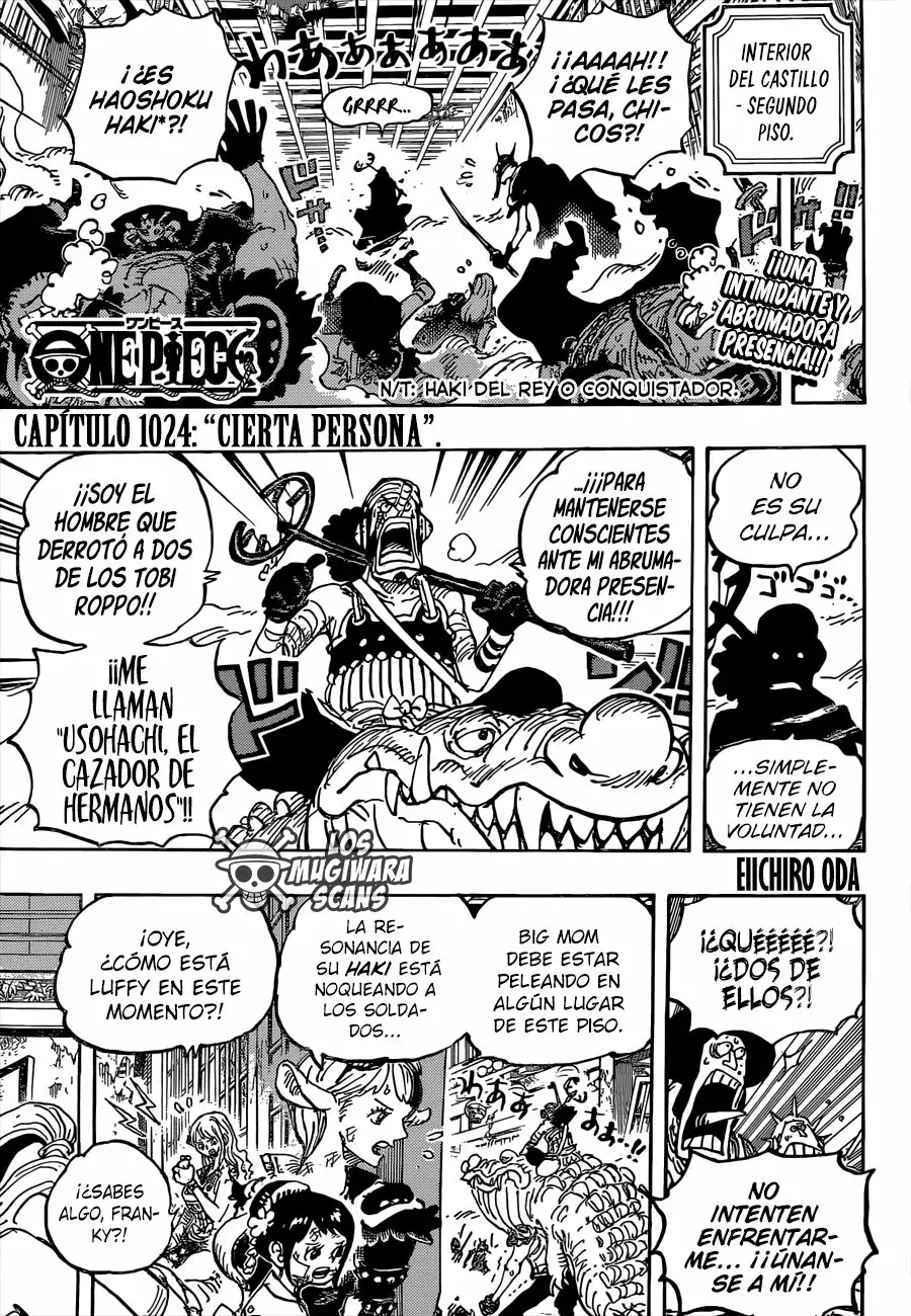 One Piece Capítulo 1024.5 - Página 4 en español