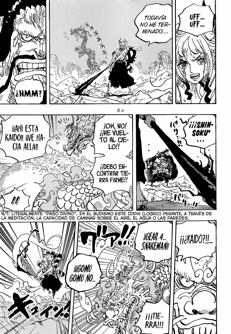 One Piece Capítulo 1025 - Página 14 en español