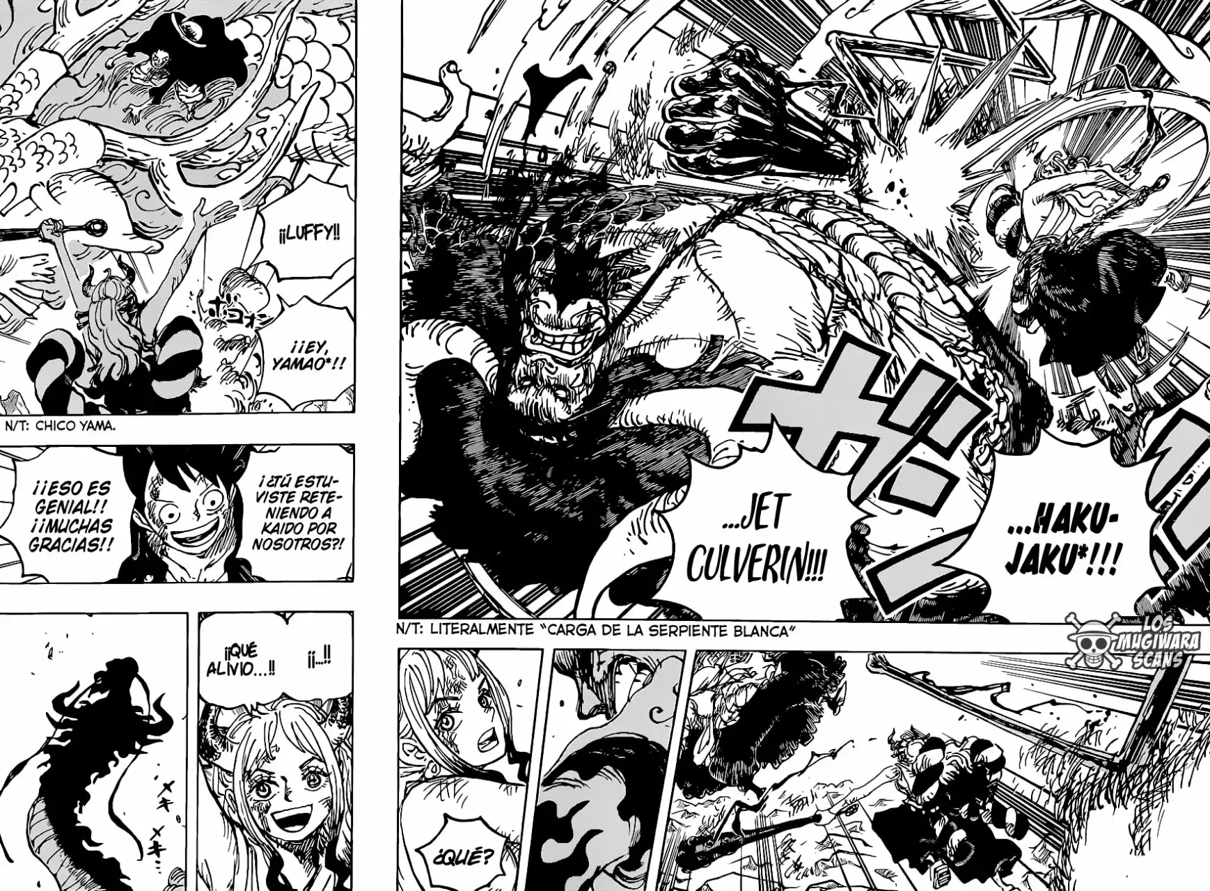 One Piece Capítulo 1025 - Página 15 en español