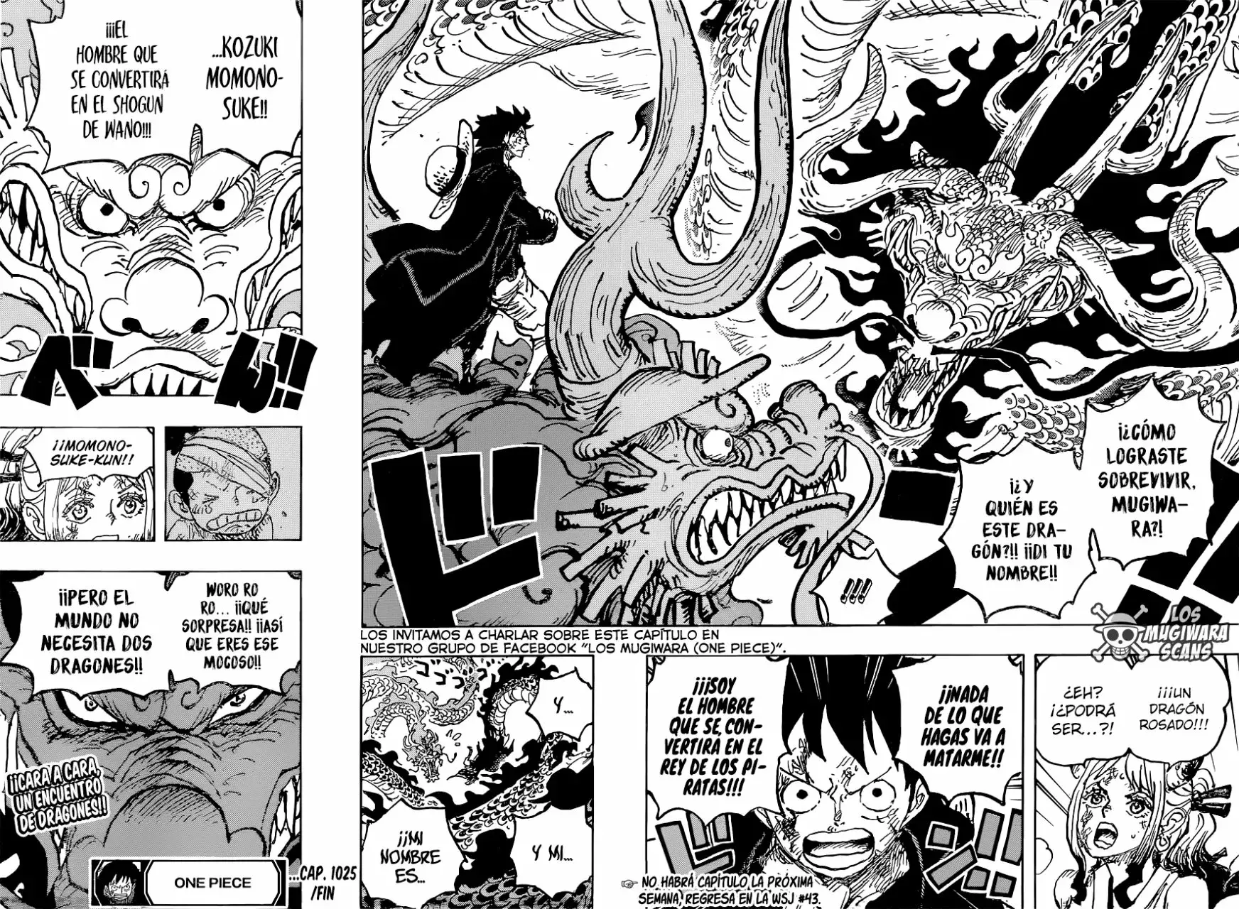 One Piece Capítulo 1025 - Página 16 en español
