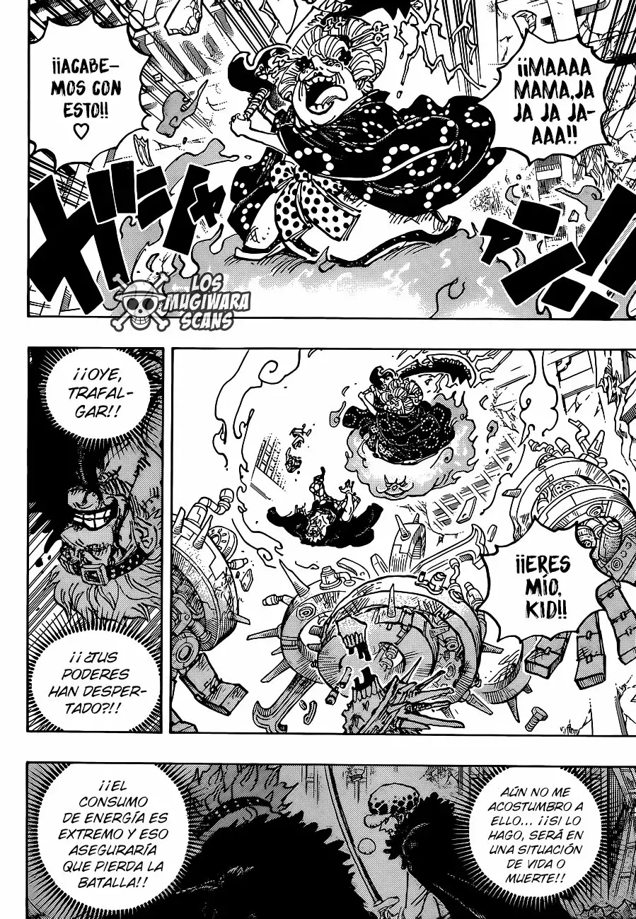 One Piece Capítulo 1030.5 - Página 14 en español