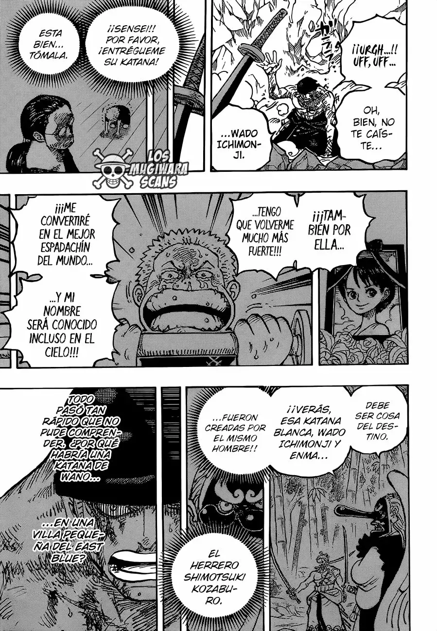 One Piece Capítulo 1033.5 - Página 10 en español