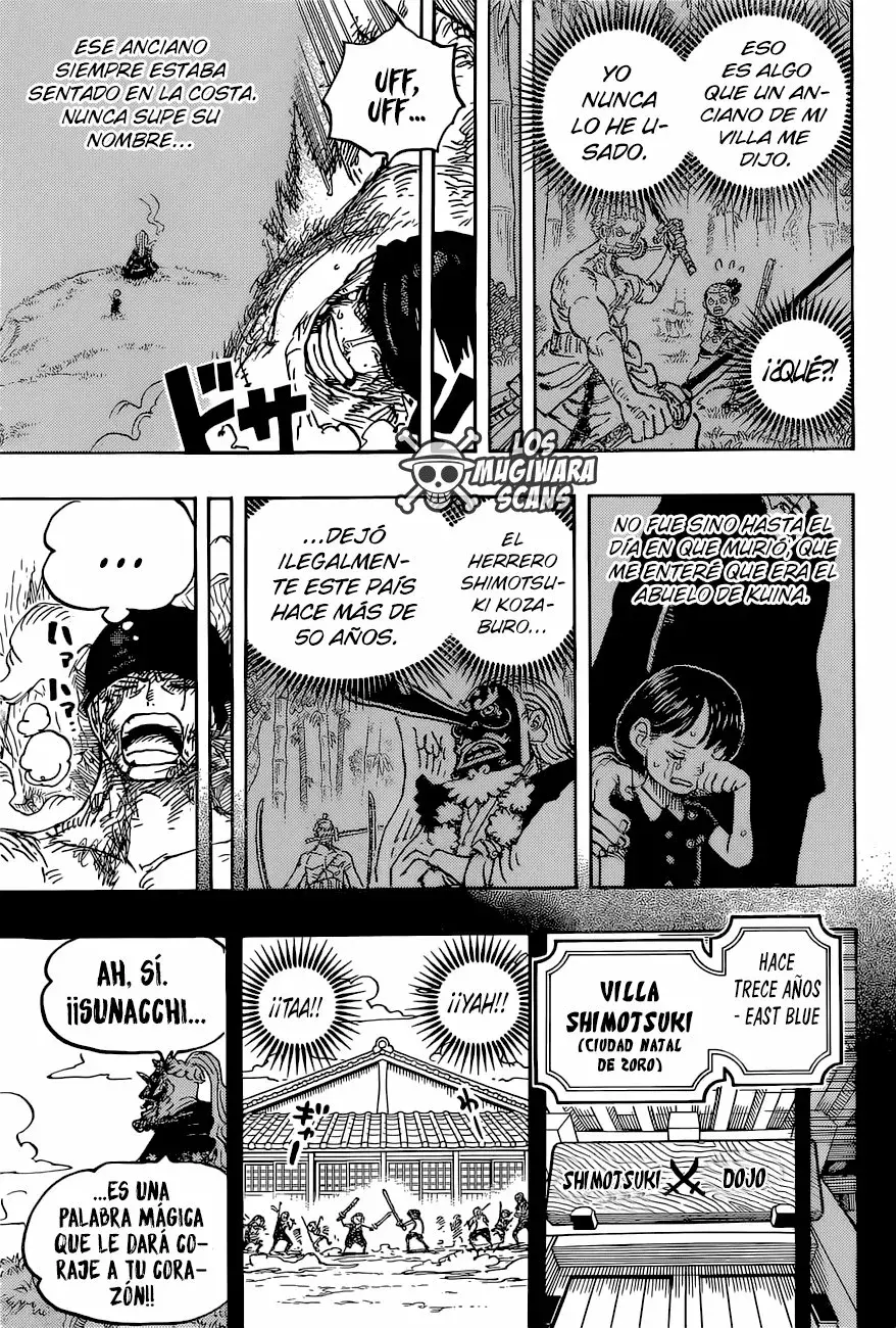 One Piece Capítulo 1033.5 - Página 12 en español