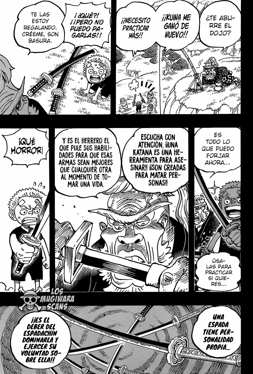 One Piece Capítulo 1033.5 - Página 14 en español