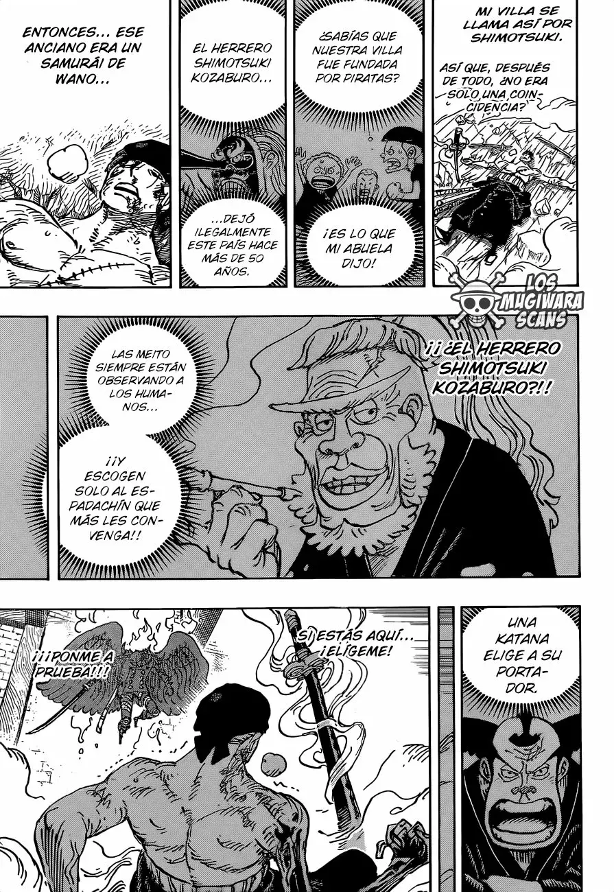 One Piece Capítulo 1033.5 - Página 16 en español
