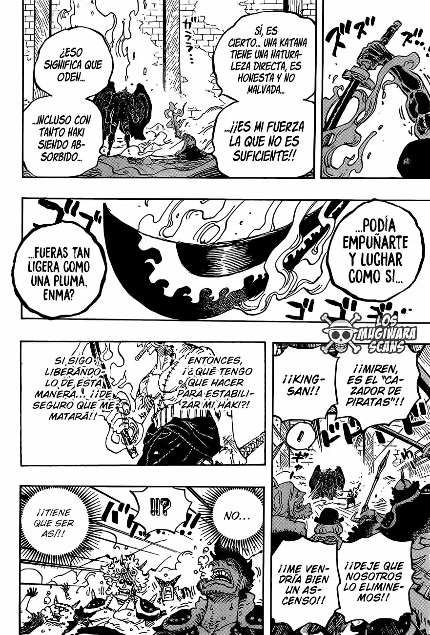 One Piece Capítulo 1033.5 - Página 17 en español