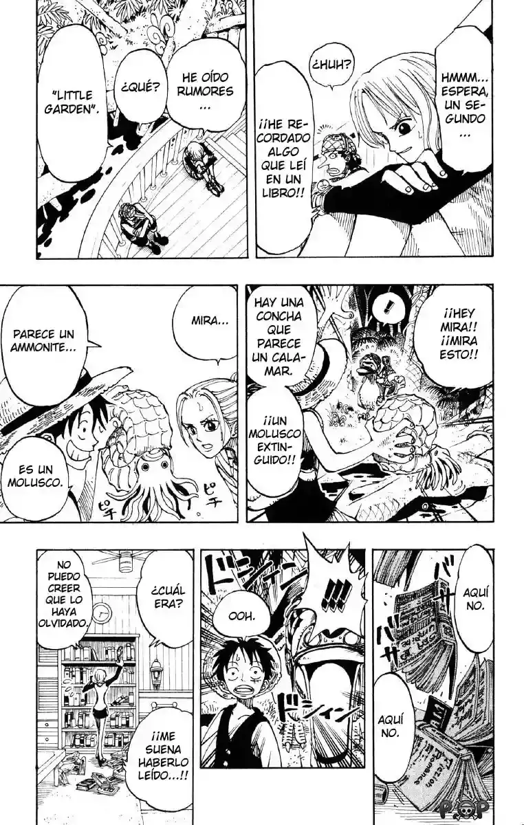 One Piece Capítulo 115 - Página 15 en español