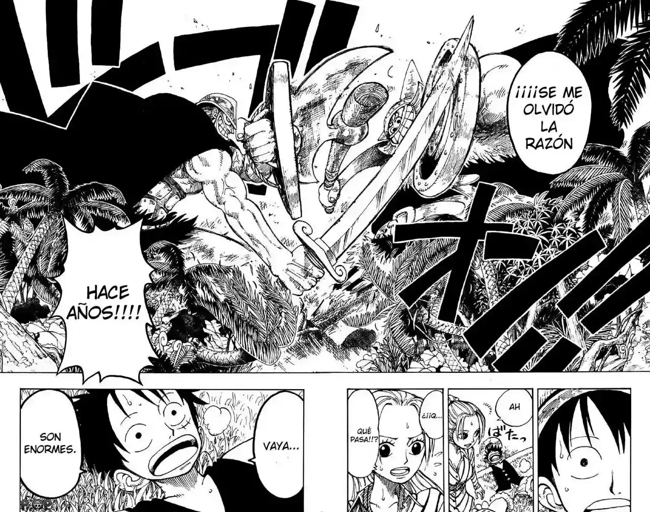 One Piece Capítulo 116 - Página 18 en español