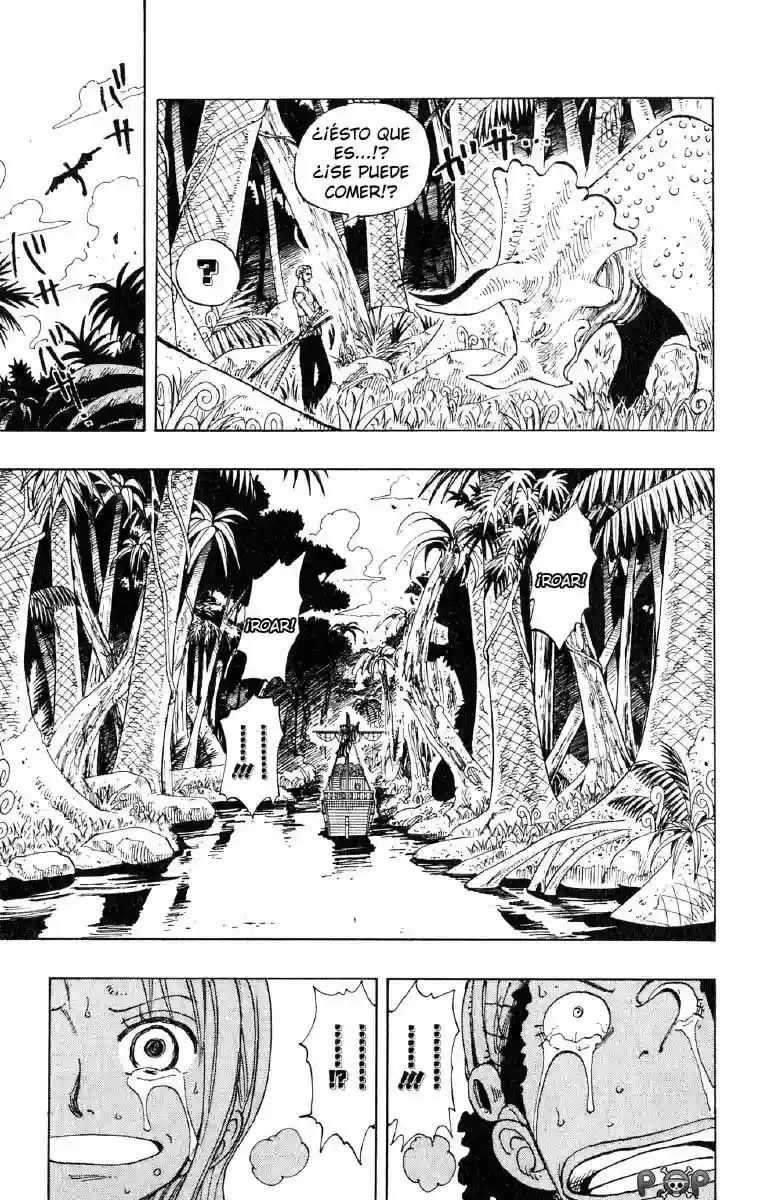One Piece Capítulo 116 - Página 3 en español