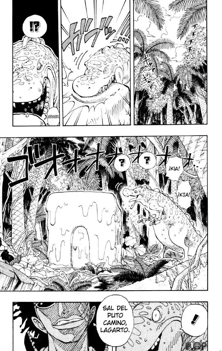 One Piece Capítulo 118 - Página 16 en español