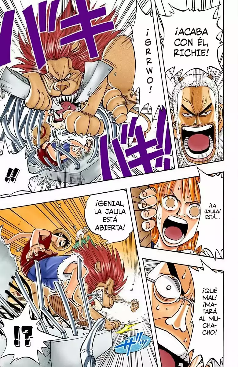 One Piece Capítulo 12 - Página 18 en español