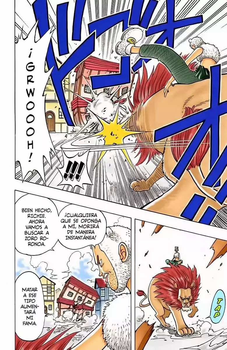 One Piece Capítulo 12 - Página 19 en español