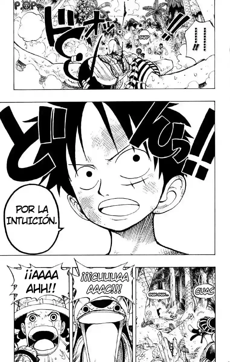 One Piece Capítulo 126 - Página 17 en español