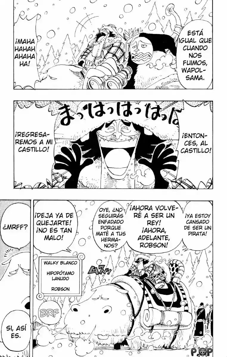 One Piece Capítulo 135 - Página 13 en español