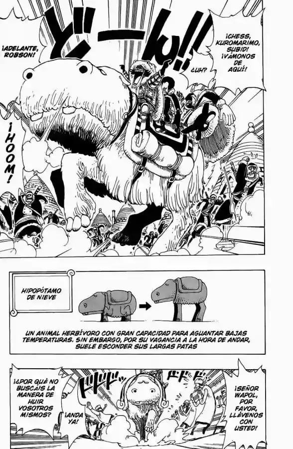 One Piece Capítulo 137 - Página 18 en español