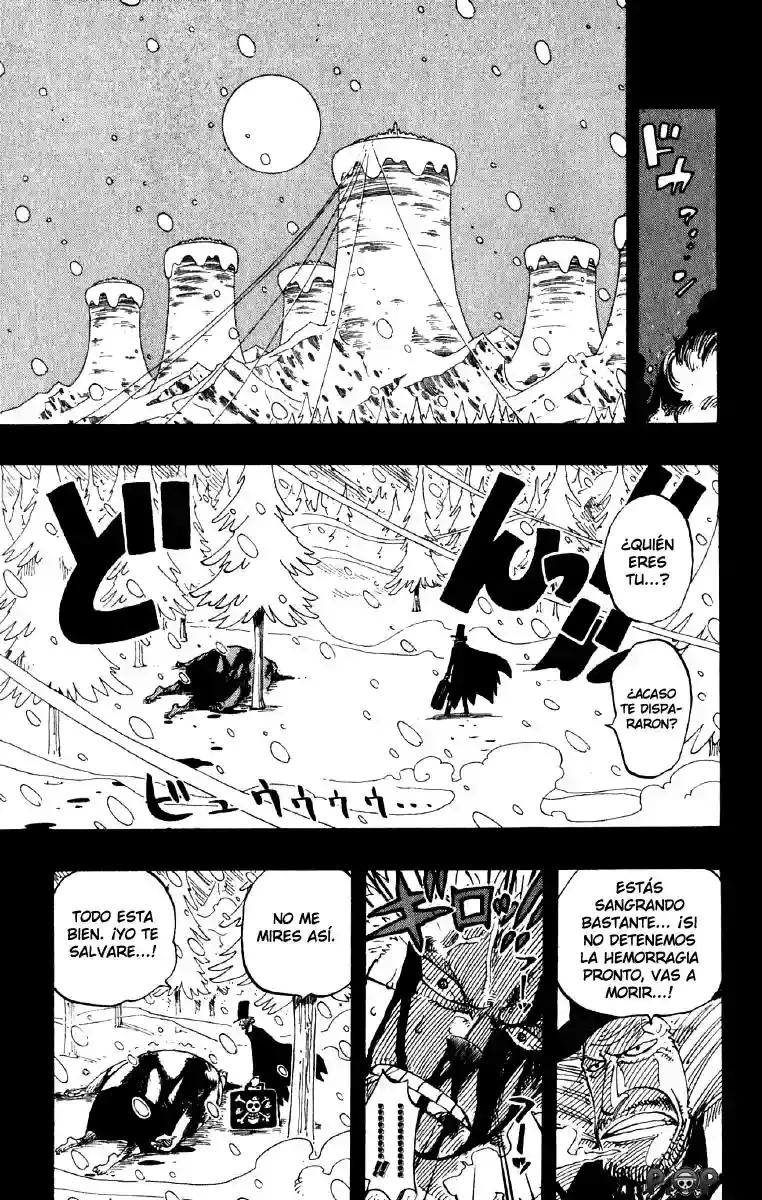 One Piece Capítulo 141 - Página 15 en español