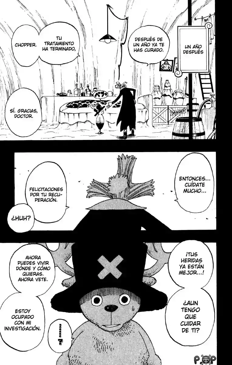 One Piece Capítulo 142 - Página 17 en español