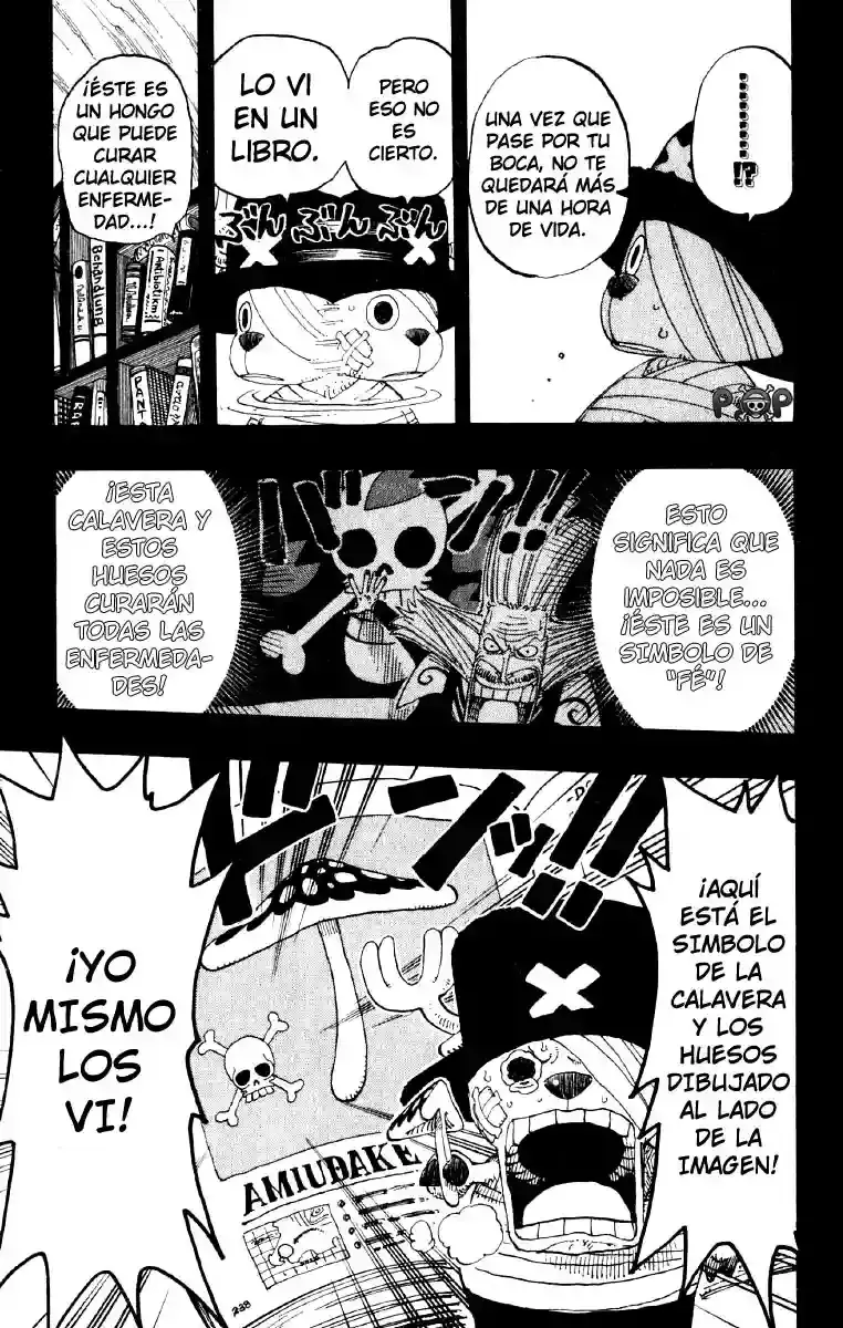 One Piece Capítulo 144 - Página 15 en español