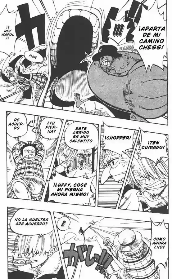 One Piece Capítulo 146 - Página 19 en español
