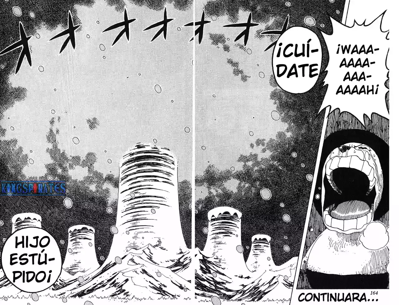 One Piece Capítulo 153 - Página 17 en español