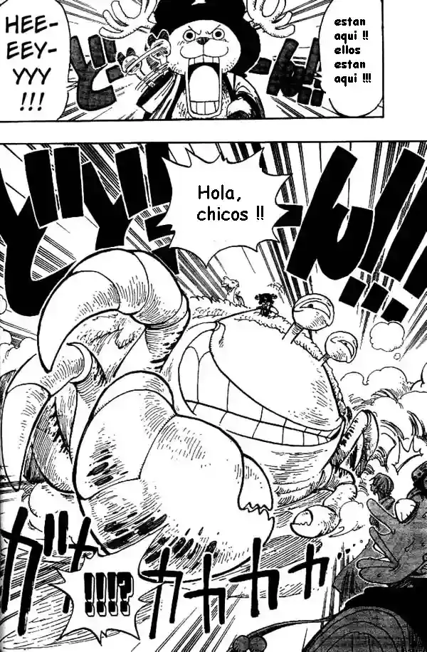 One Piece Capítulo 176 - Página 16 en español