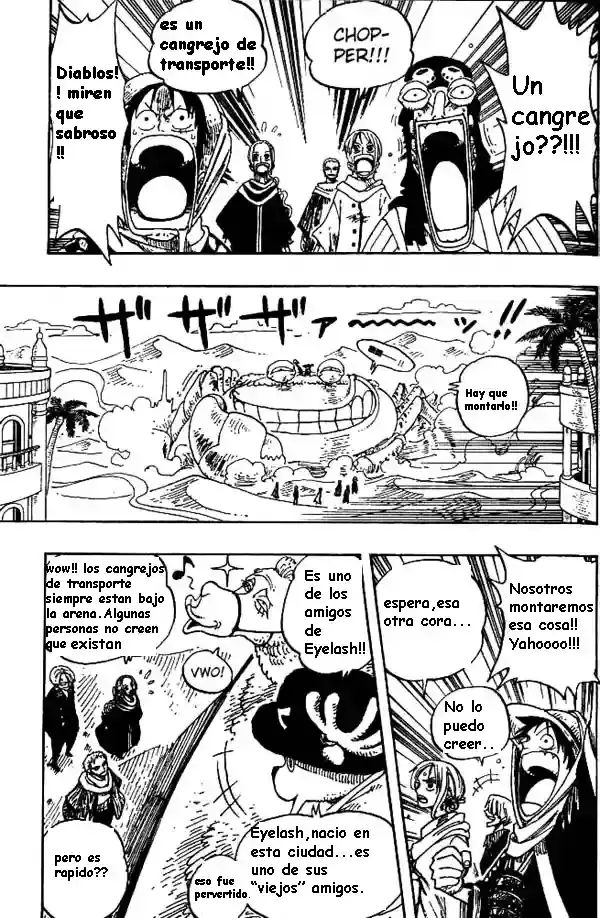 One Piece Capítulo 176 - Página 17 en español
