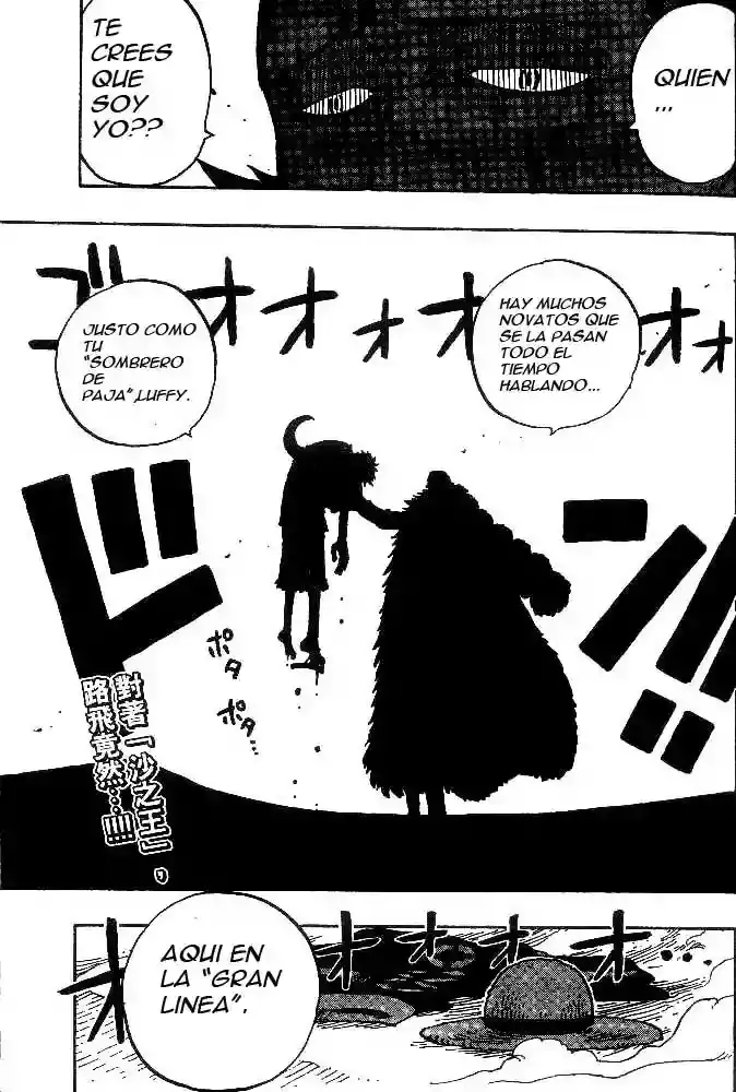 One Piece Capítulo 178 - Página 19 en español