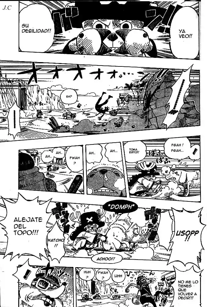 One Piece Capítulo 185 - Página 17 en español
