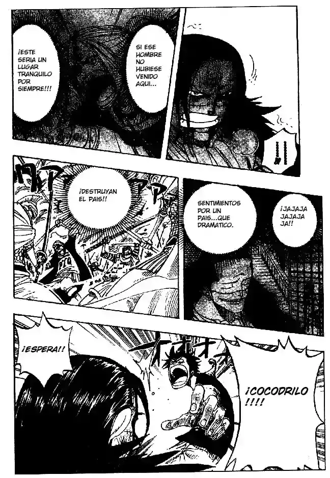One Piece Capítulo 204 - Página 12 en español