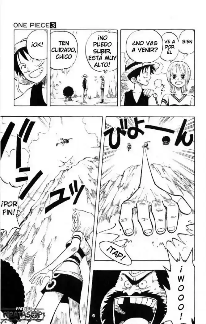 One Piece Capítulo 22 - Página 24 en español