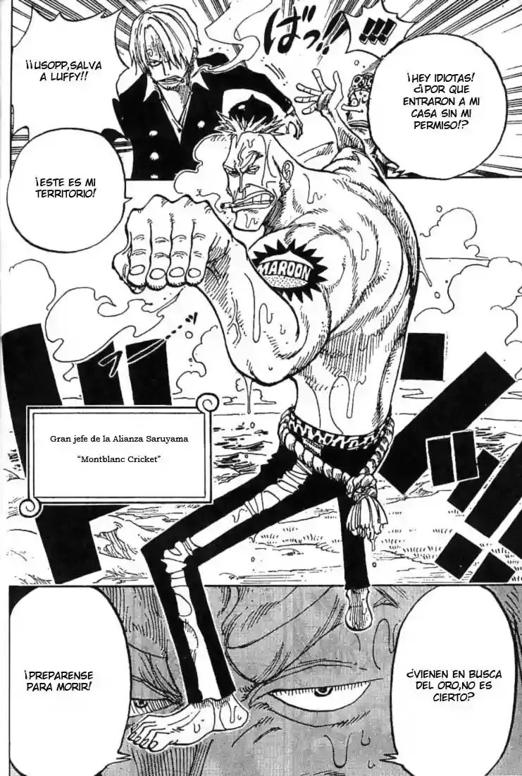One Piece Capítulo 227 - Página 14 en español