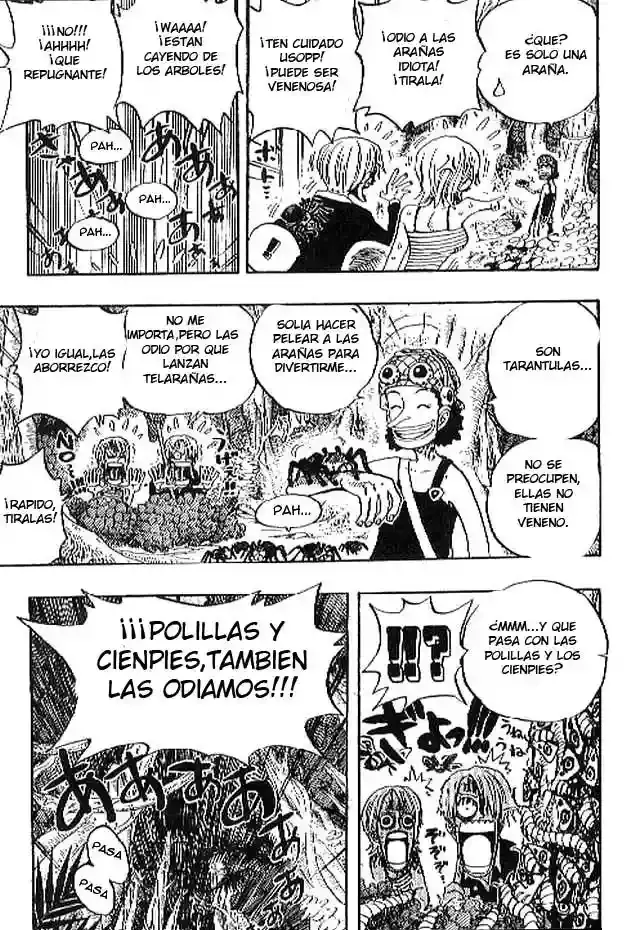 One Piece Capítulo 230 - Página 13 en español