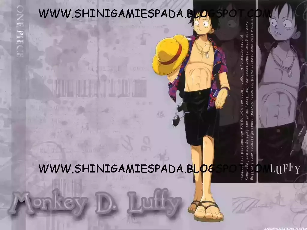 One Piece Capítulo 233 - Página 18 en español