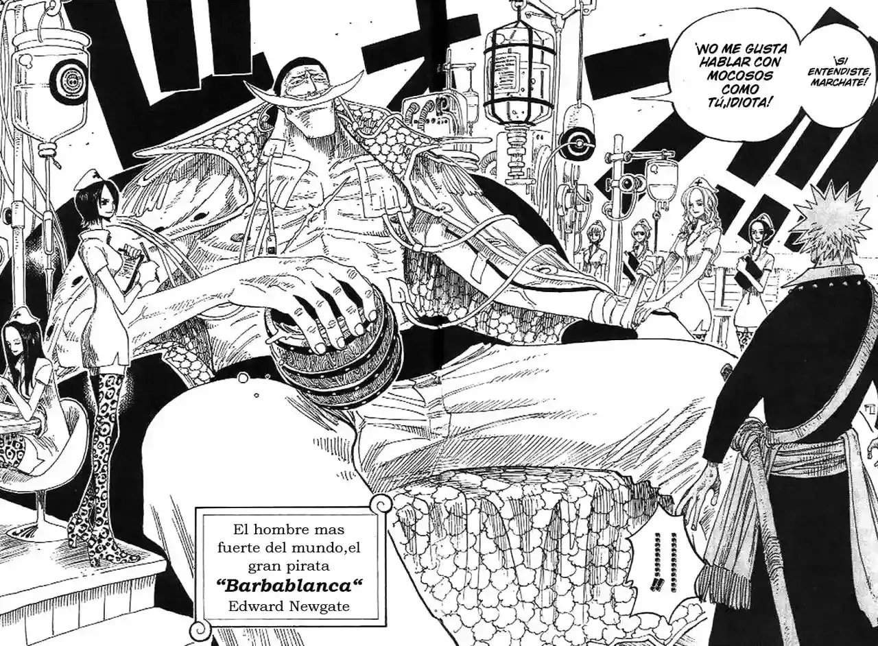 One Piece Capítulo 234 - Página 12 en español