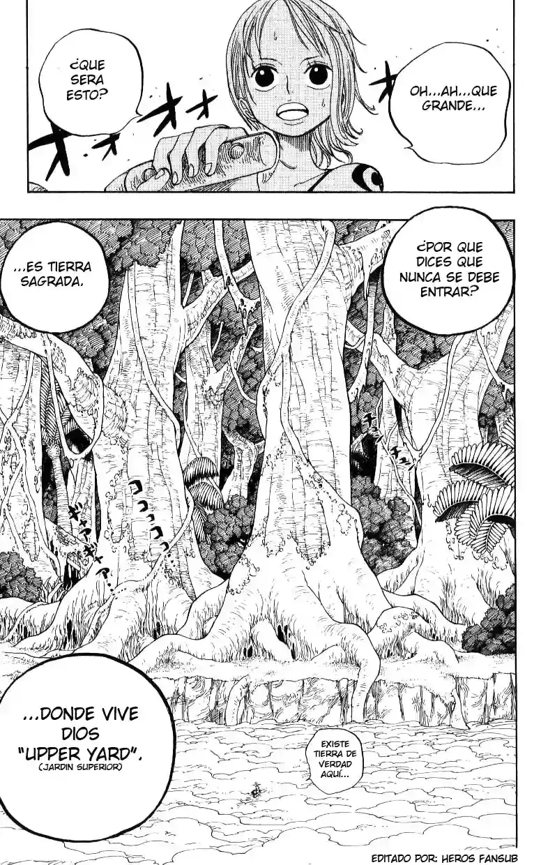 One Piece Capítulo 240 - Página 17 en español