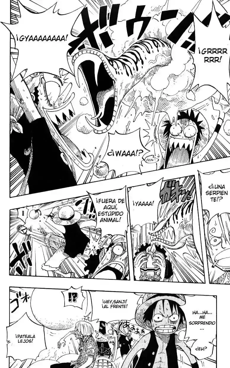 One Piece Capítulo 246 - Página 10 en español