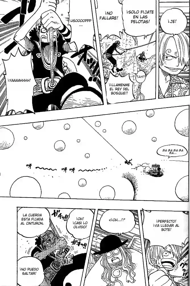 One Piece Capítulo 247 - Página 15 en español